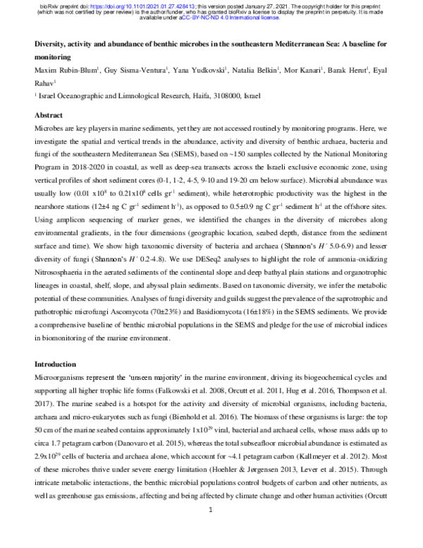 (PDF) Diversity, activity and abundance of benthic microbes in the ...