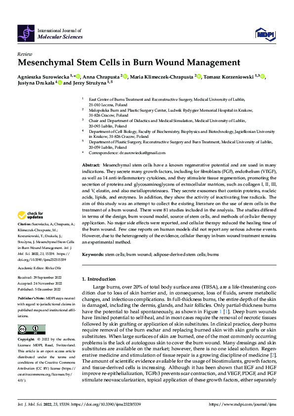 (PDF) Mesenchymal Stem Cells in Burn Wound Management