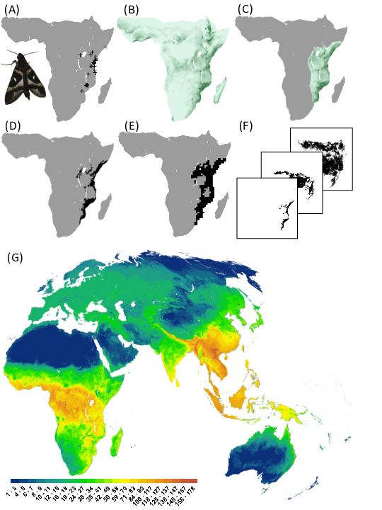 (PDF) Putting insects on the map: near‐global variation in sphingid ...