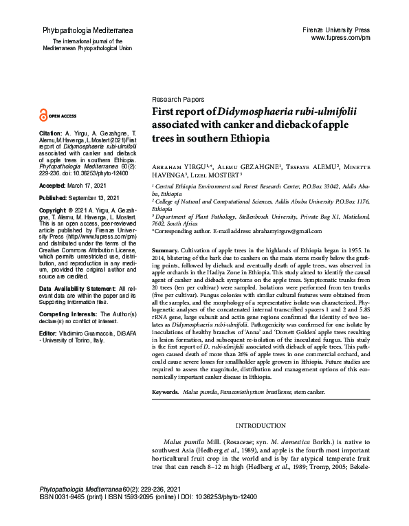 (PDF) First report of Didymosphaeria rubi-ulmifolii associated with ...