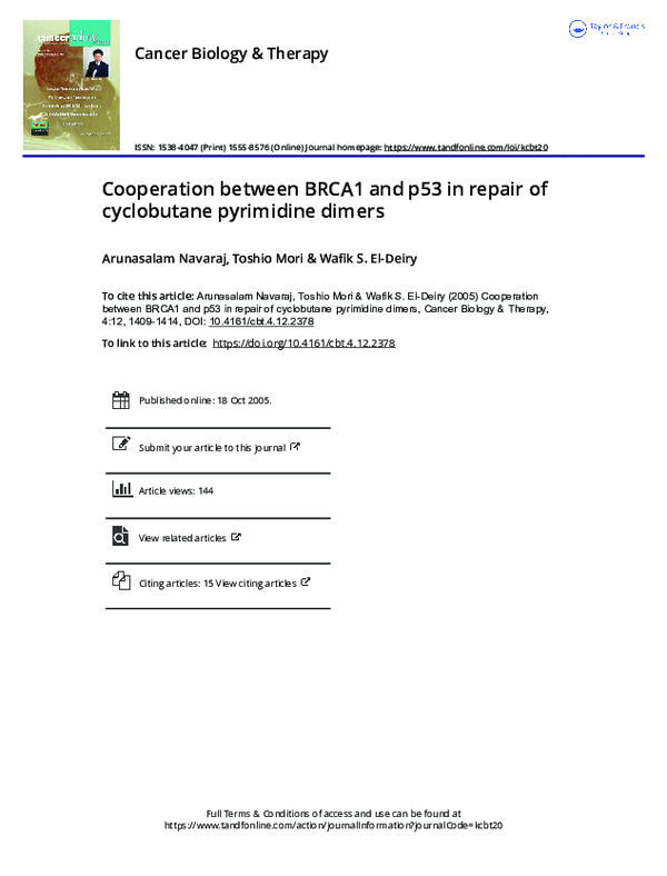 (PDF) Cooperation between BRCA1 and p53 in repair of cyclobutane ...