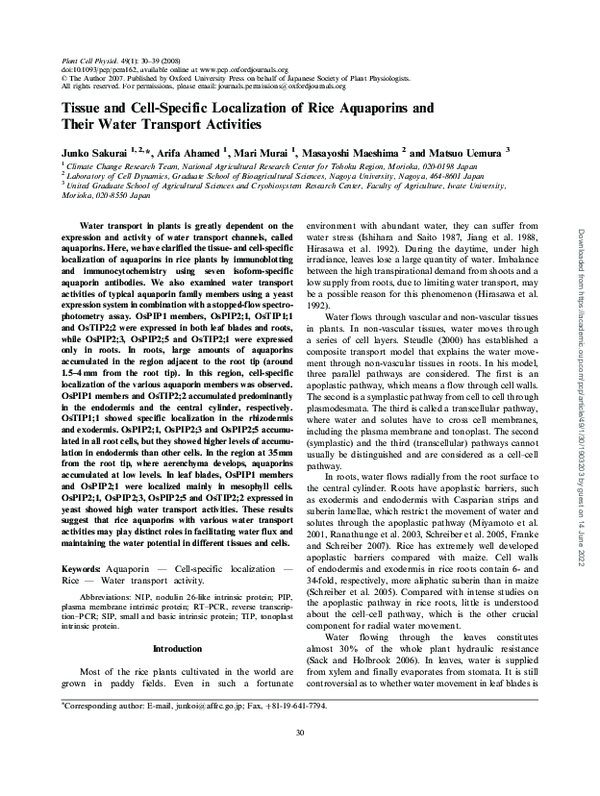 (PDF) Tissue and Cell-Specific Localization of Rice Aquaporins and ...