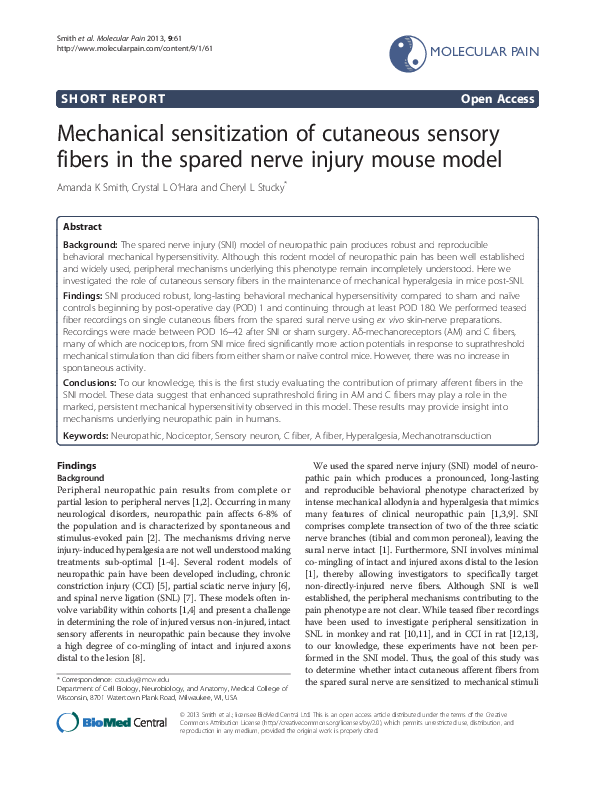 Mechanical Sensitization of Cutaneous Sensory Fibers in the Spared ...