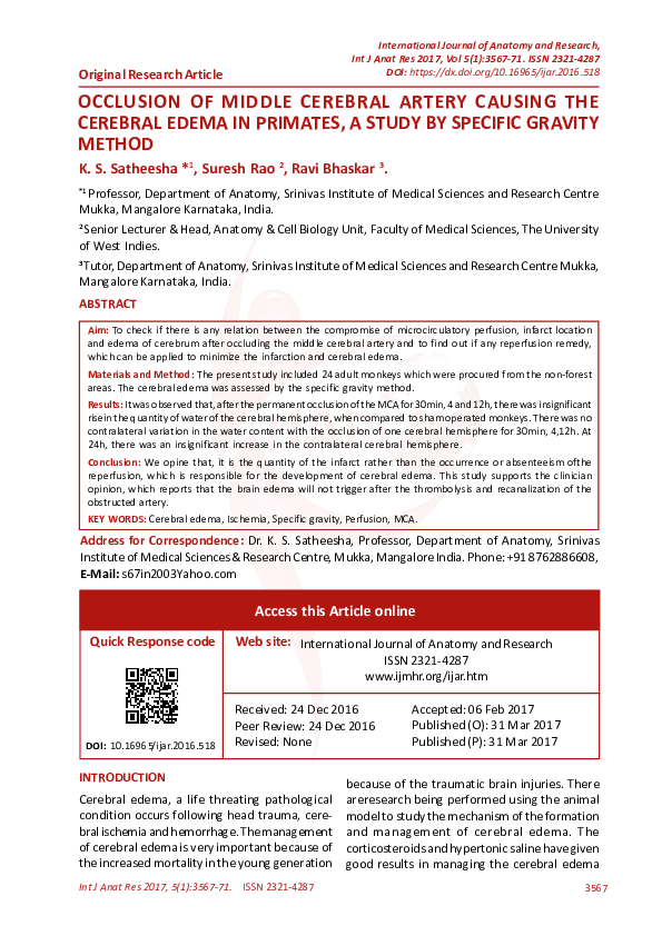 (PDF) Occlusion of Middle Cerebral Artery Causing the Cerebral Edema in ...