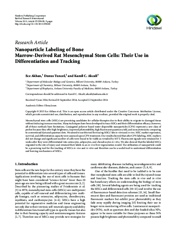 (PDF) Nanoparticle Labeling of Bone Marrow-Derived Rat Mesenchymal Stem ...
