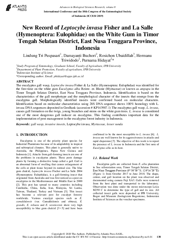 New Record of Leptocybe invasa Fisher and La Salle (Hymenoptera: Eulophidae) on the White Gum in Timor Tengah Selatan District, East Nusa Tenggara Province, Indonesia