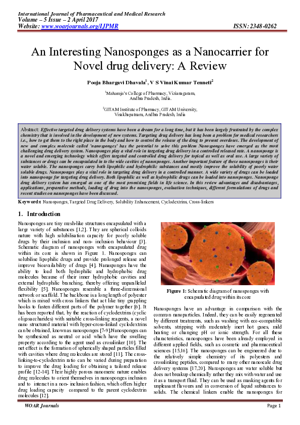 (PDF) An Interesting Nanosponges as a Nanocarrier for Novel drug ...