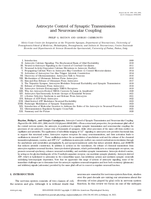(PDF) Astrocyte Control of Synaptic Transmission and Neurovascular Coupling