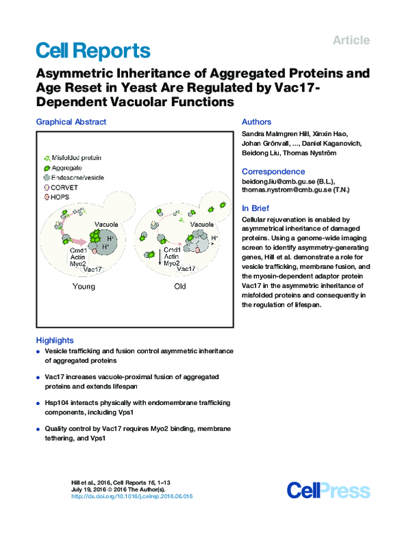 (PDF) Asymmetric Inheritance of Aggregated Proteins and Age Reset in ...
