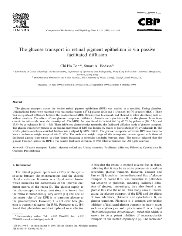 (PDF) The glucose transport in retinal pigment epithelium is via ...