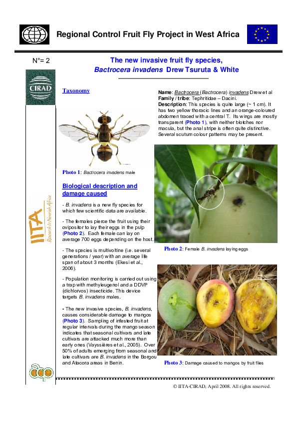 (PDF) The new invasive fruit fly species; Bactrocera invadens