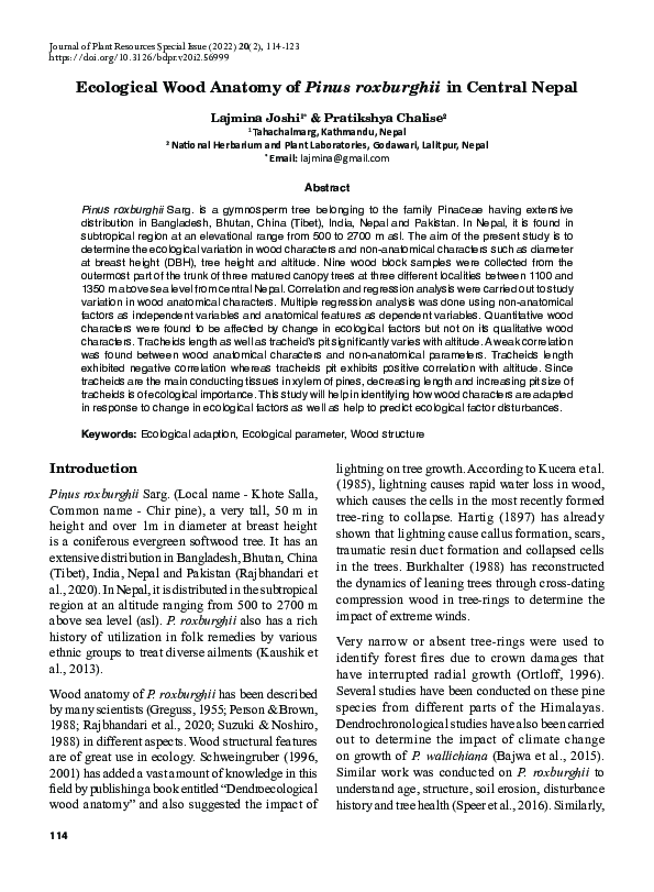 (PDF) Ecological Wood Anatomy of Pinus roxburghii in Central Nepal