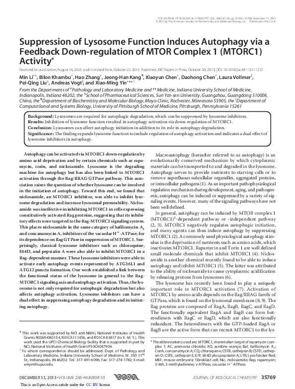 (PDF) Suppression of Lysosome Function Induces Autophagy via a Feedback ...