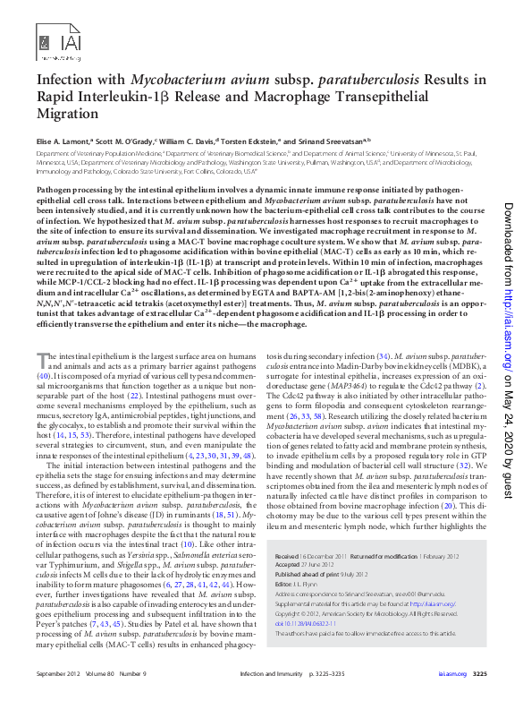 (PDF) [Mycobacterium avium subsp. paratuberculosis in food and its ...