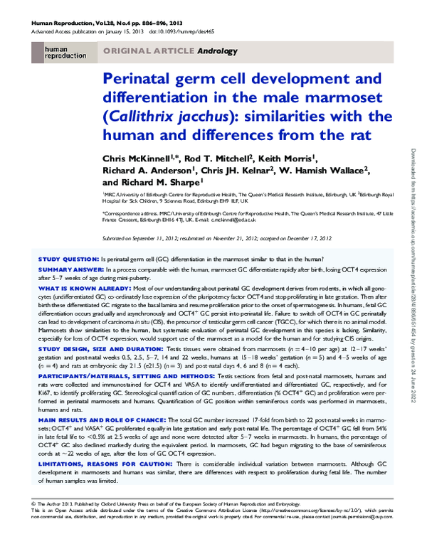 (PDF) Perinatal germ cell development and differentiation in the male ...