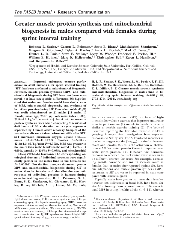 (PDF) Greater muscle protein synthesis and mitochondrial biogenesis in ...