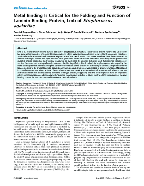 (PDF) Metal Binding Is Critical for the Folding and Function of Laminin ...