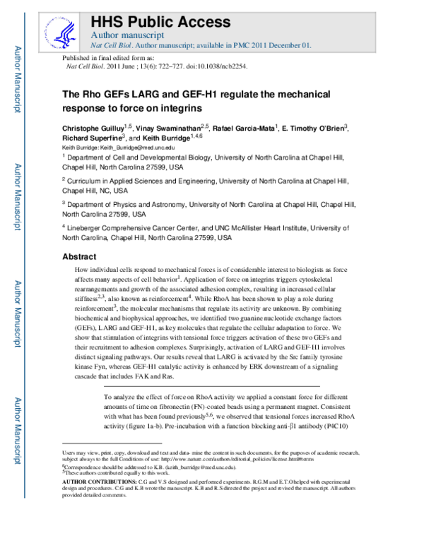 (PDF) The Rho GEFs LARG and GEF-H1 regulate the mechanical response to ...