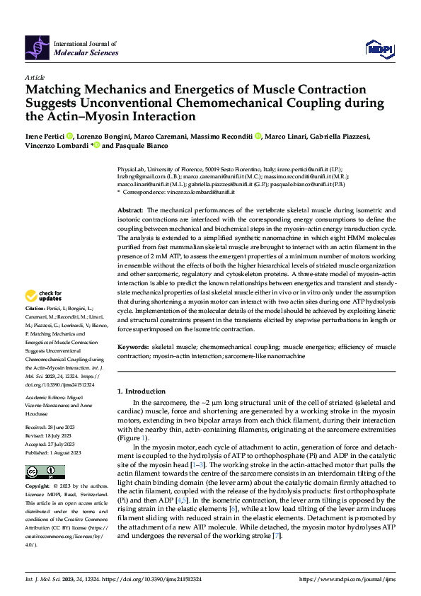 (PDF) Matching Mechanics and Energetics of Muscle Contraction Suggests ...