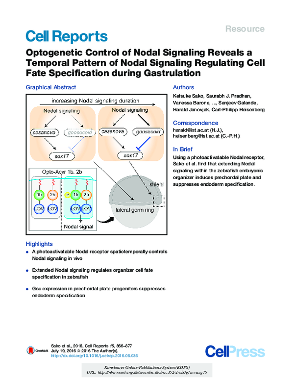 (PDF) Optogenetic Control of Nodal Signaling Reveals a Temporal Pattern ...