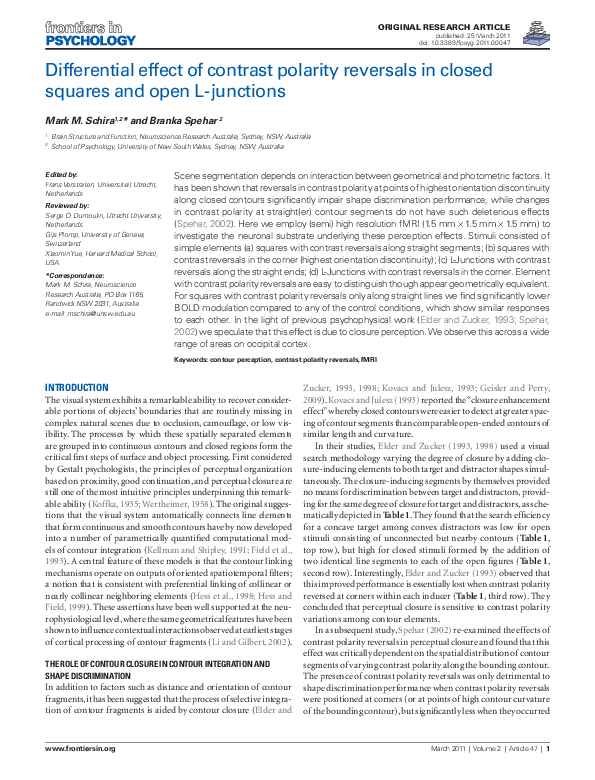 Differential Effect of Contrast Polarity Reversals in Closed Squares and Open L-Junctions