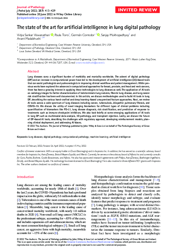 (PDF) The state of the art for artificial intelligence in lung digital ...