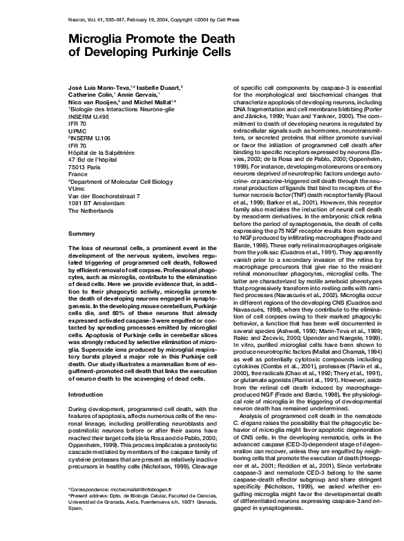 (PDF) Microglia Promote the Death of Developing Purkinje Cells