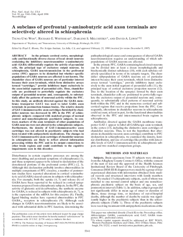 (PDF) A subclass of prefrontal γ-aminobutyric acid axon terminals are ...