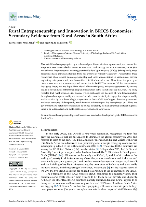 (PDF) Rural Entrepreneurship and Innovation in BRICS Economies ...