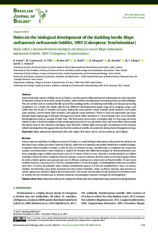 (PDF) Notes on the biological development of the darkling beetle Blaps ...