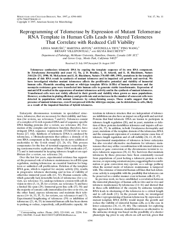 (PDF) Reprogramming of Telomerase by Expression of Mutant Telomerase ...