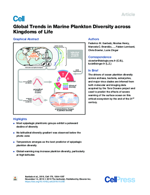 (PDF) Global Trends in Marine Plankton Diversity across Kingdoms of Life
