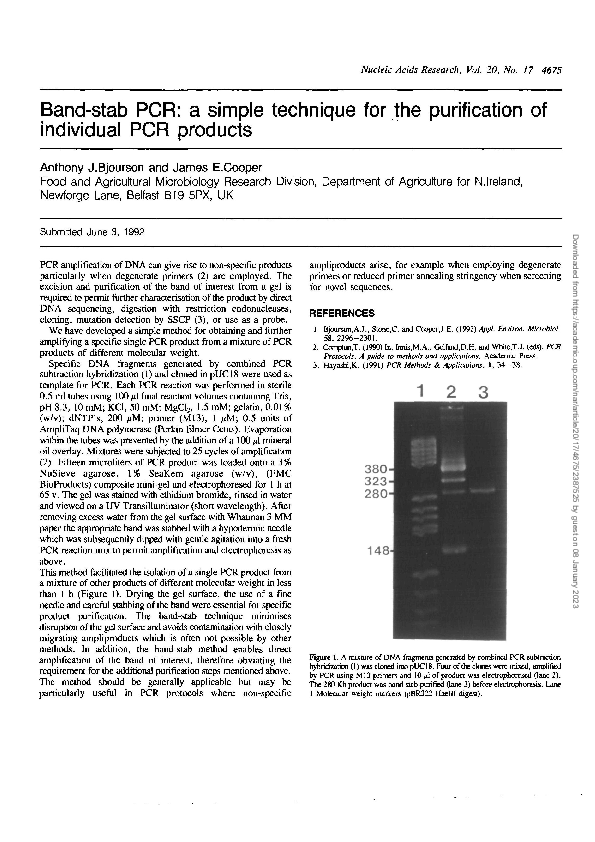 (PDF) Band-stab PCR: a simple technique for the purification of ...
