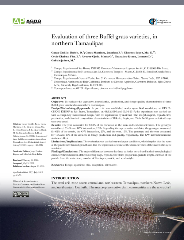 (PDF) Evaluation of three varieties of Buffel grass, in the North of ...