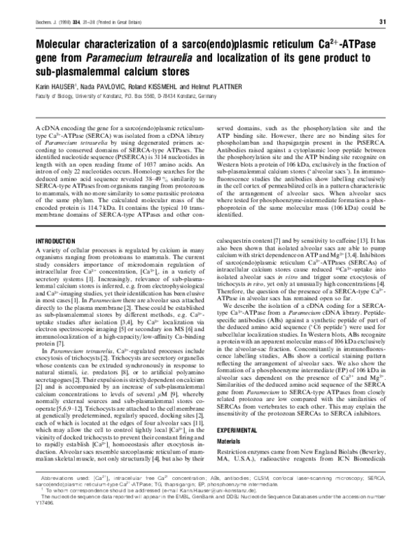 (PDF) Molecular characterization of a sarco(endo)plasmic reticulum Ca2 ...