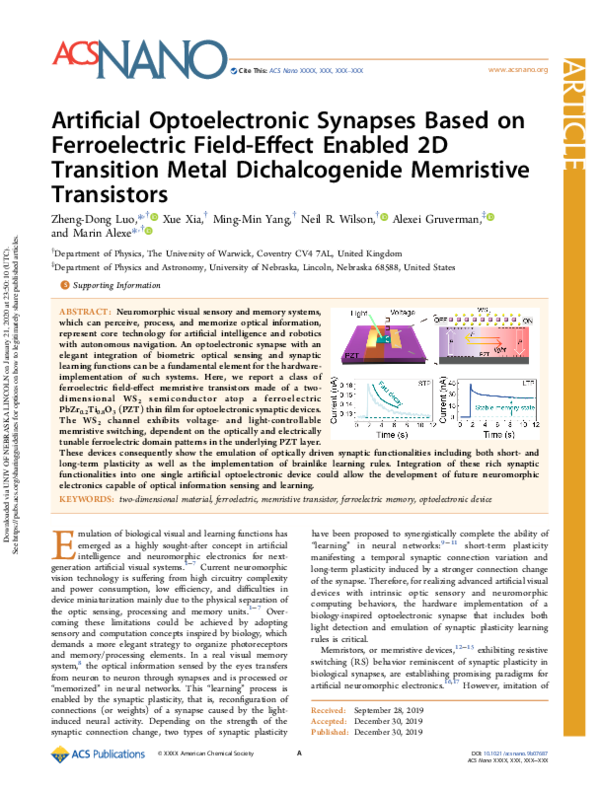 (PDF) Artificial Optoelectronic Synapses Based on Ferroelectric Field ...
