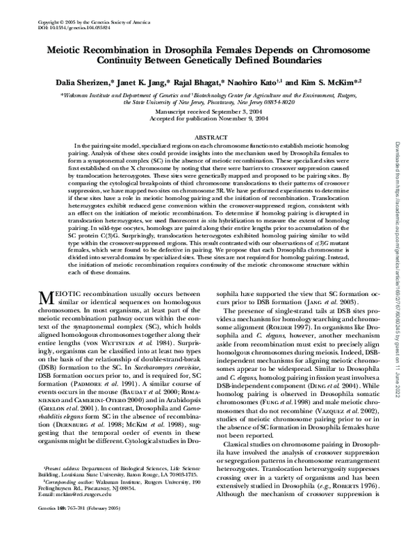 (PDF) Meiotic Recombination in Drosophila Females Depends on Chromosome ...