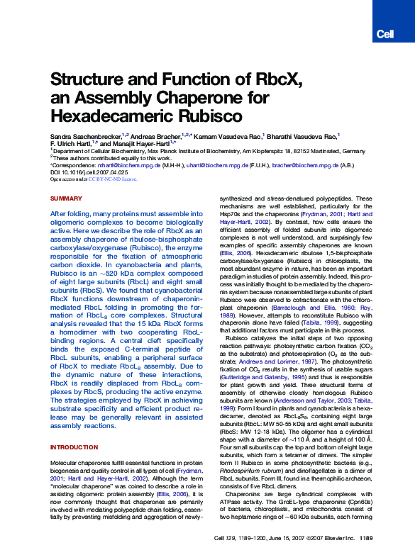 (PDF) Structure and Function of RbcX, an Assembly Chaperone for ...