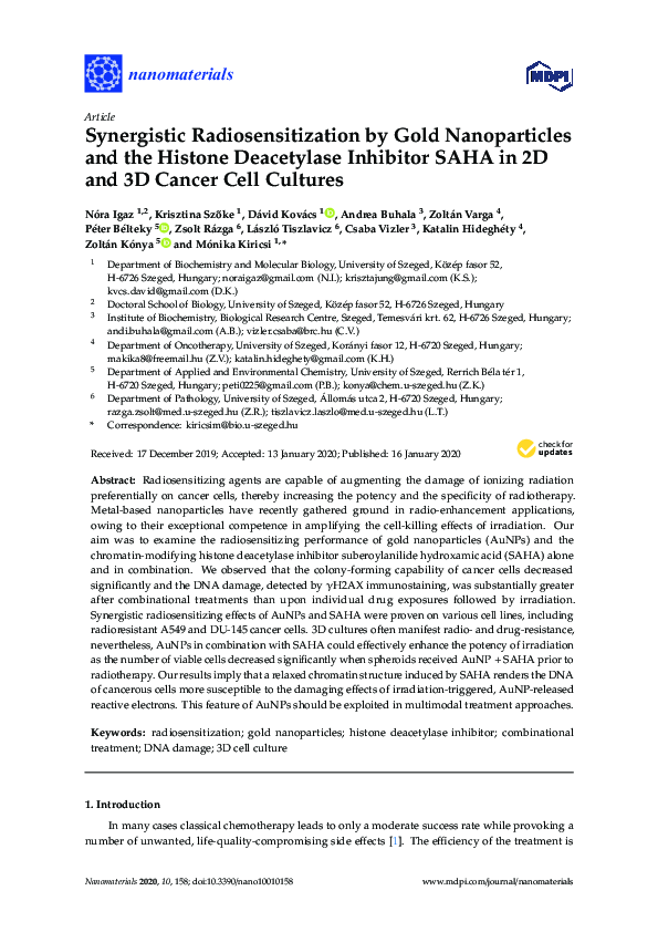 (PDF) Synergistic Radiosensitization by Gold Nanoparticles and the ...