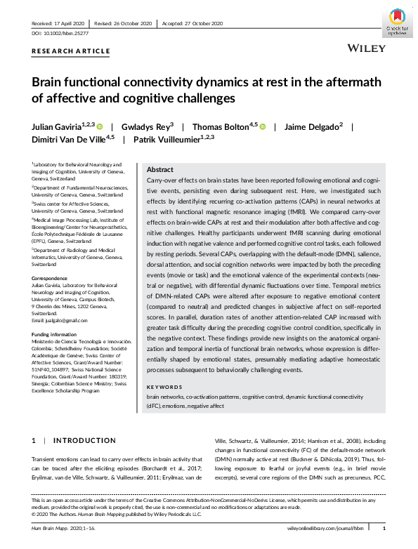 (PDF) Brain functional connectivity dynamics at rest in the aftermath ...