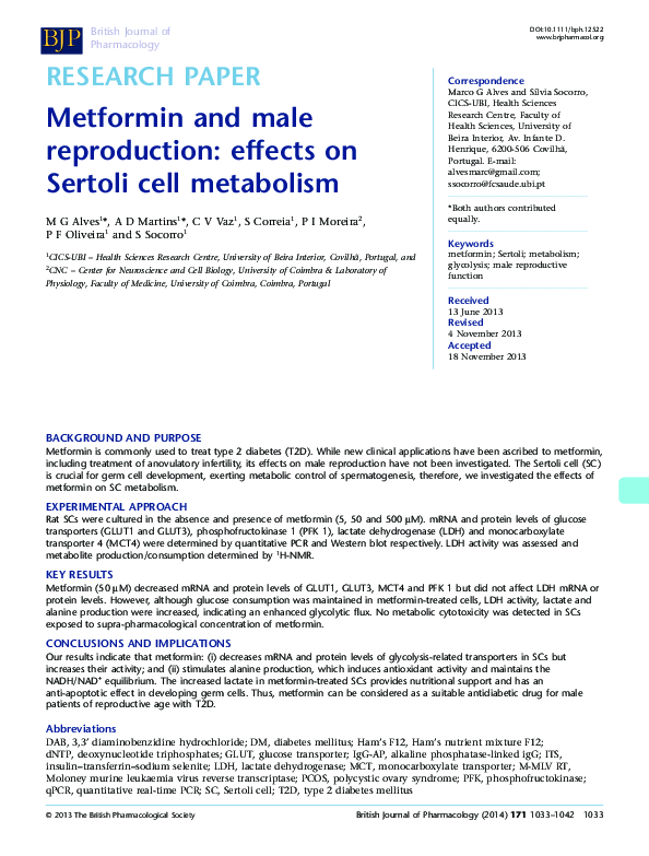 (PDF) Metformin and male reproduction: effects on Sertoli cell metabolism