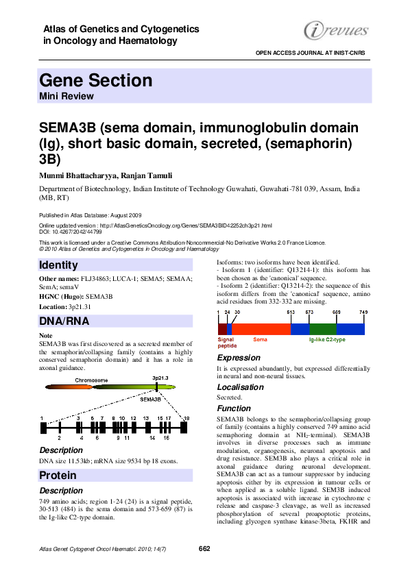 (PDF) SEMA3B (sema domain, immunoglobulin domain (Ig), short basic ...