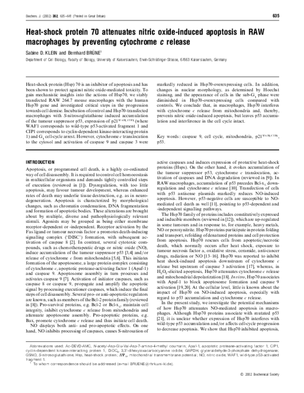 Heat-shock protein 70 attenuates nitric oxide-induced apoptosis in RAW macrophages by preventing cytochrome c release