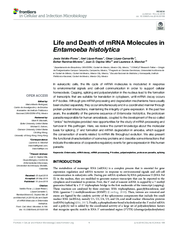 (PDF) Life and Death of mRNA Molecules in Entamoeba histolytica