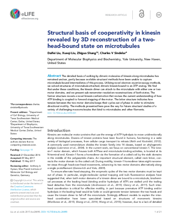 (PDF) Structural basis of cooperativity in kinesin revealed by 3D ...