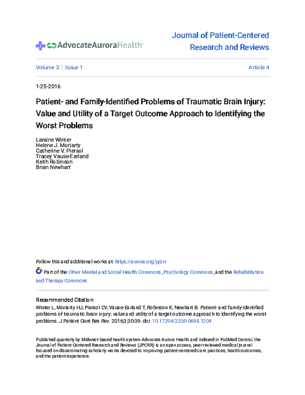 (PDF) Patient- and Family-Identified Problems of Traumatic Brain Injury ...