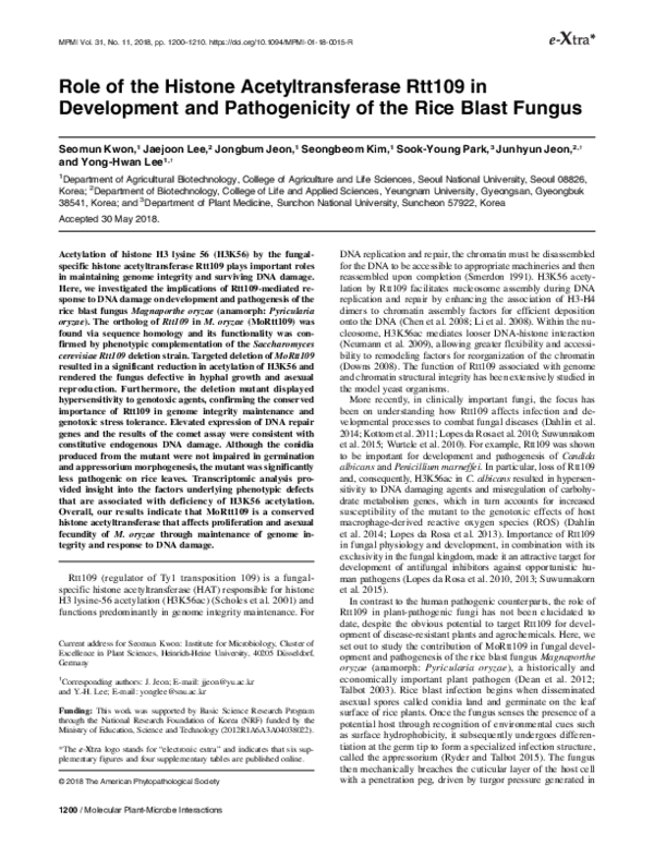 (PDF) Role of the Histone Acetyltransferase Rtt109 in Development and ...