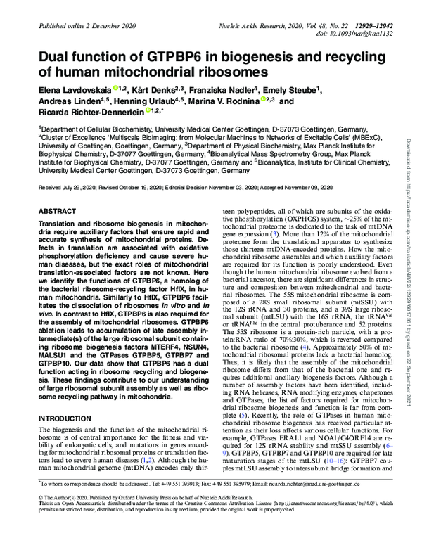 (PDF) GTPBP6: Key Role in Mitochondrial Ribosomes