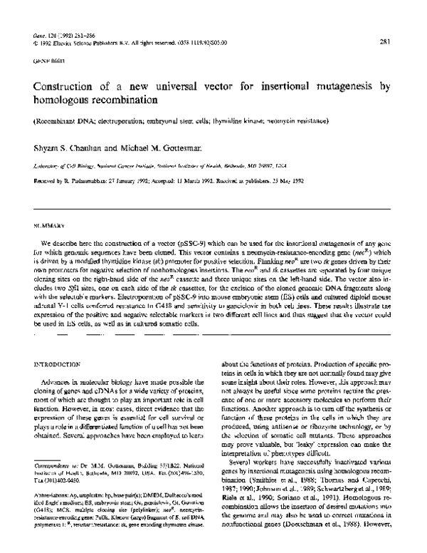 (PDF) Construction of a new universal vector for insertional ...