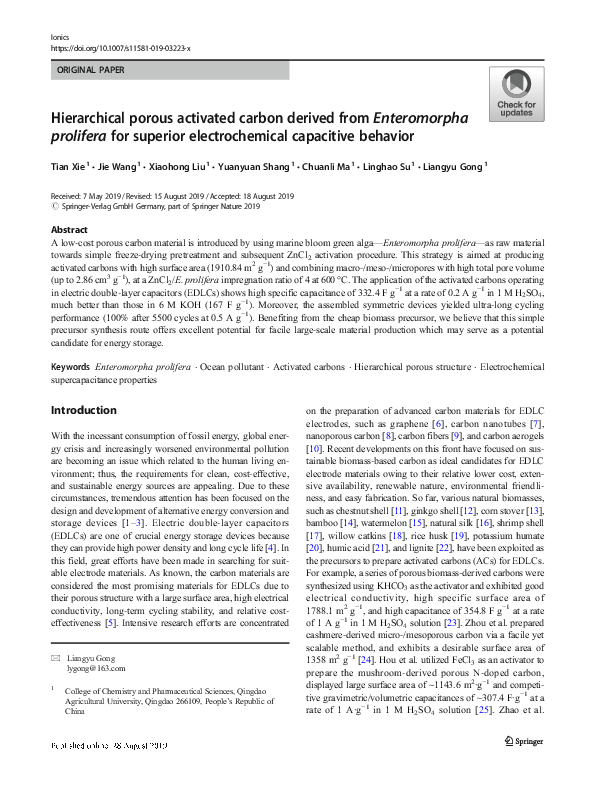 (PDF) Hierarchical porous activated carbon derived from agro-waste for ...